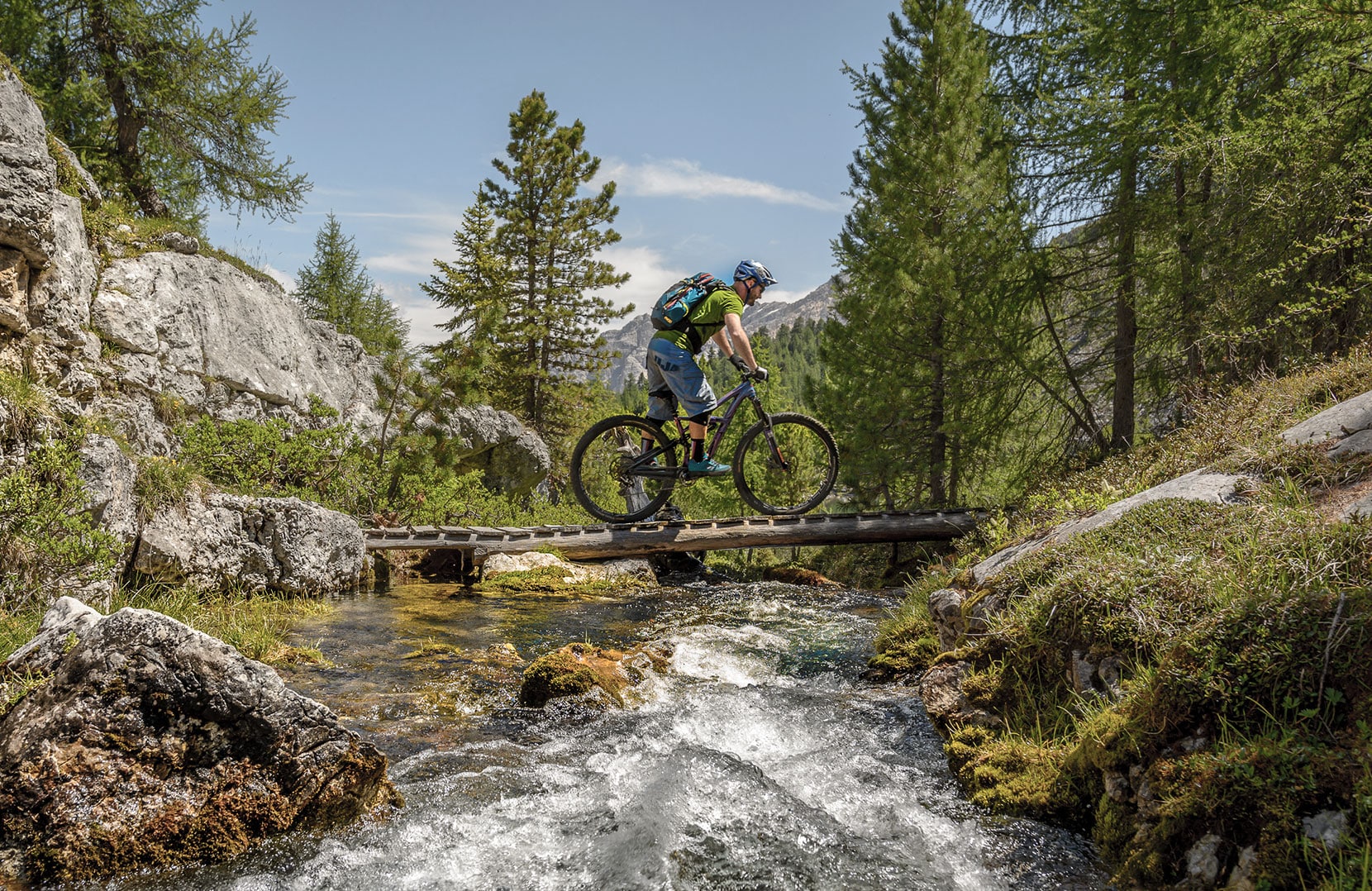 Alpine Mountain Biker